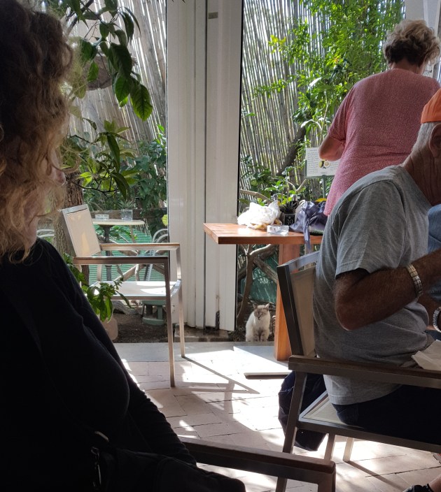 2018-10-15 12.20.05.crop